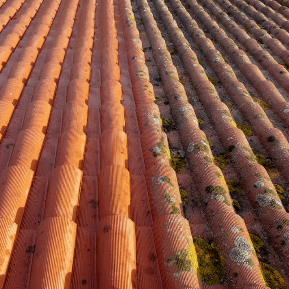 demoussage-et-nettoyage-tuiles-toiture-montauban